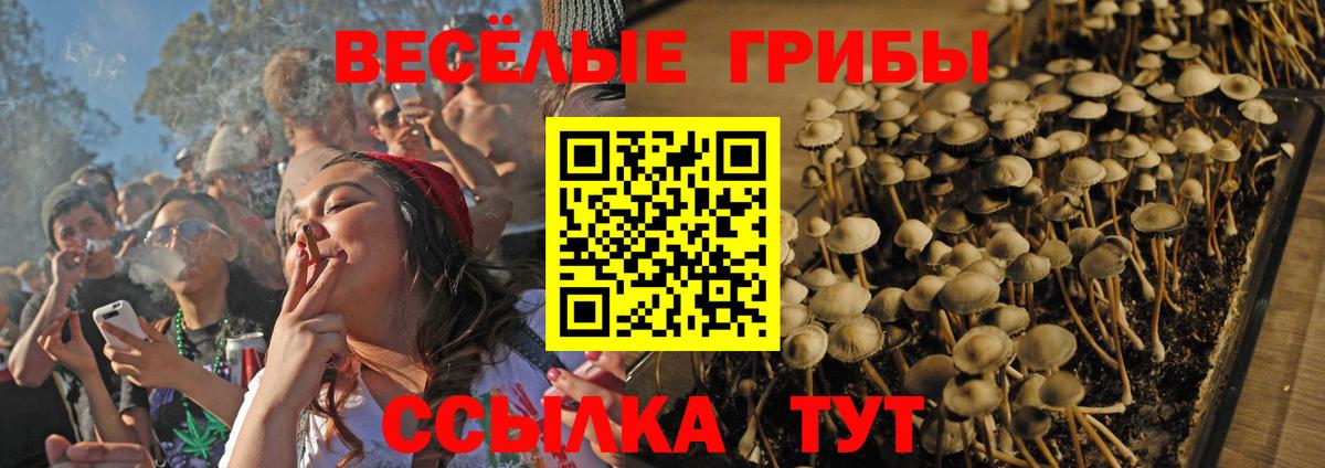 Псилоцибиновые грибы ЛСД  Псилоцибиновые грибы Psilocybe  Апрелевка  Вход с VPN 